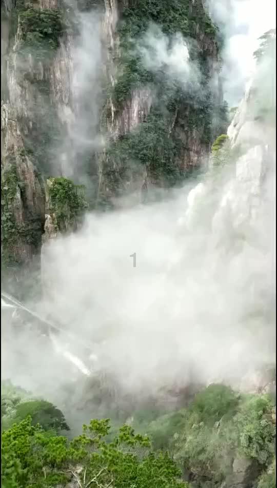 频繁心悸的后果是什么？游戏画面